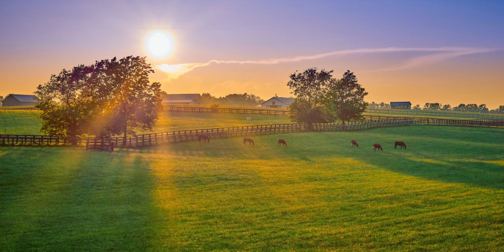 Visit Kentucky’s Horse Country