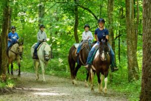 Bourbon Horses History Redfern Riding Stable